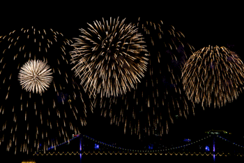 Gif animé feux d'artifices 105